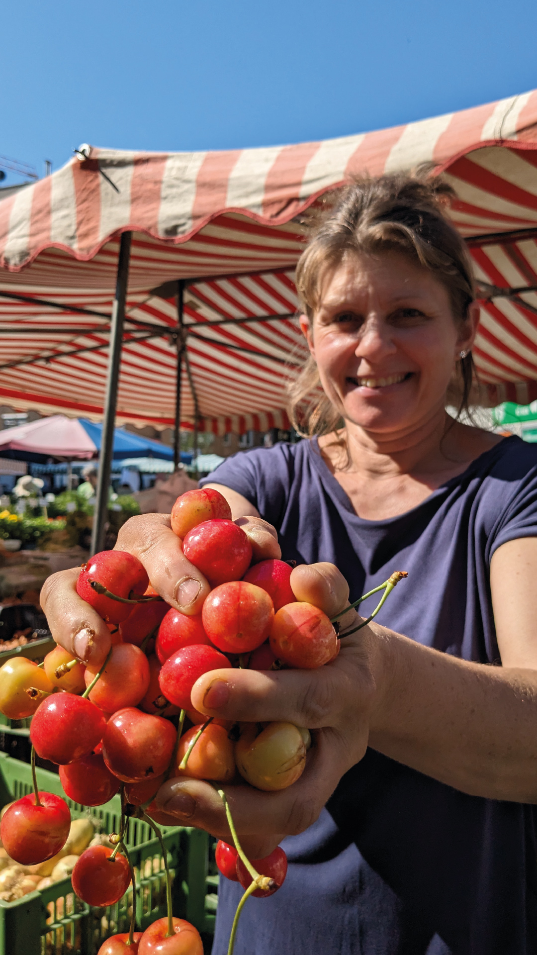Schlingermarkt (c) Lisa Vlasak